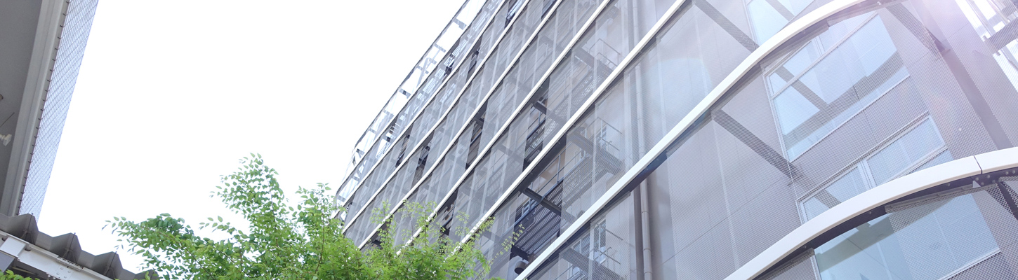 会社概要 会社概要